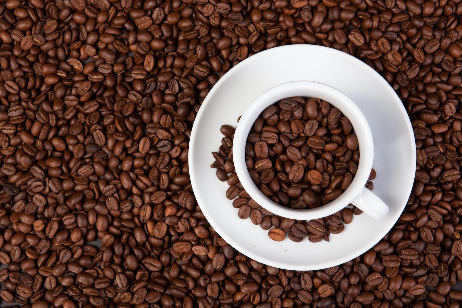The Top 6 Coffee Beans in the World, According to Your Flavour Preferences