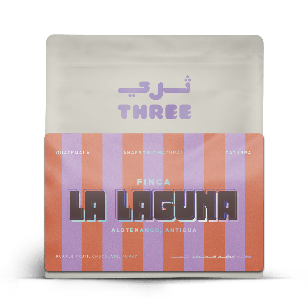 Guatemala La Laguna Caturra Anaerobic Natural