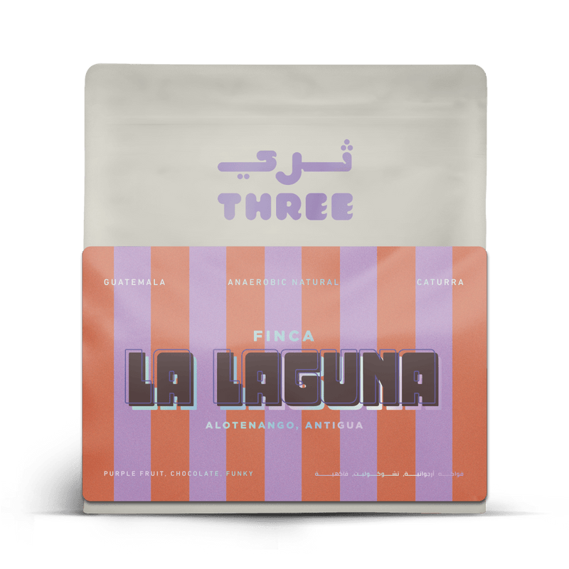 Guatemala La Laguna Caturra Anaerobic Natural