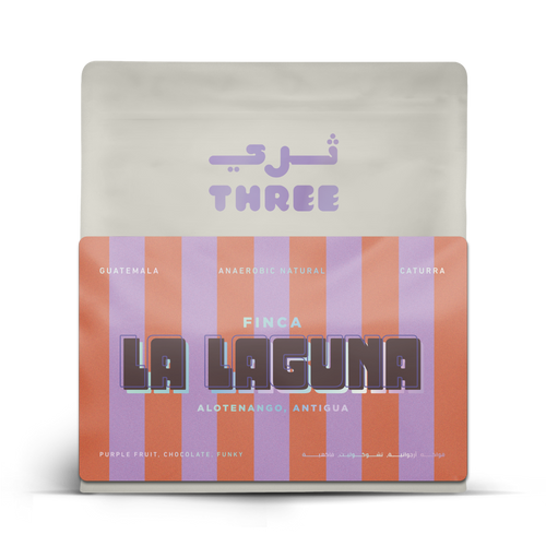 Guatemala La Laguna Caturra Anaerobic Natural