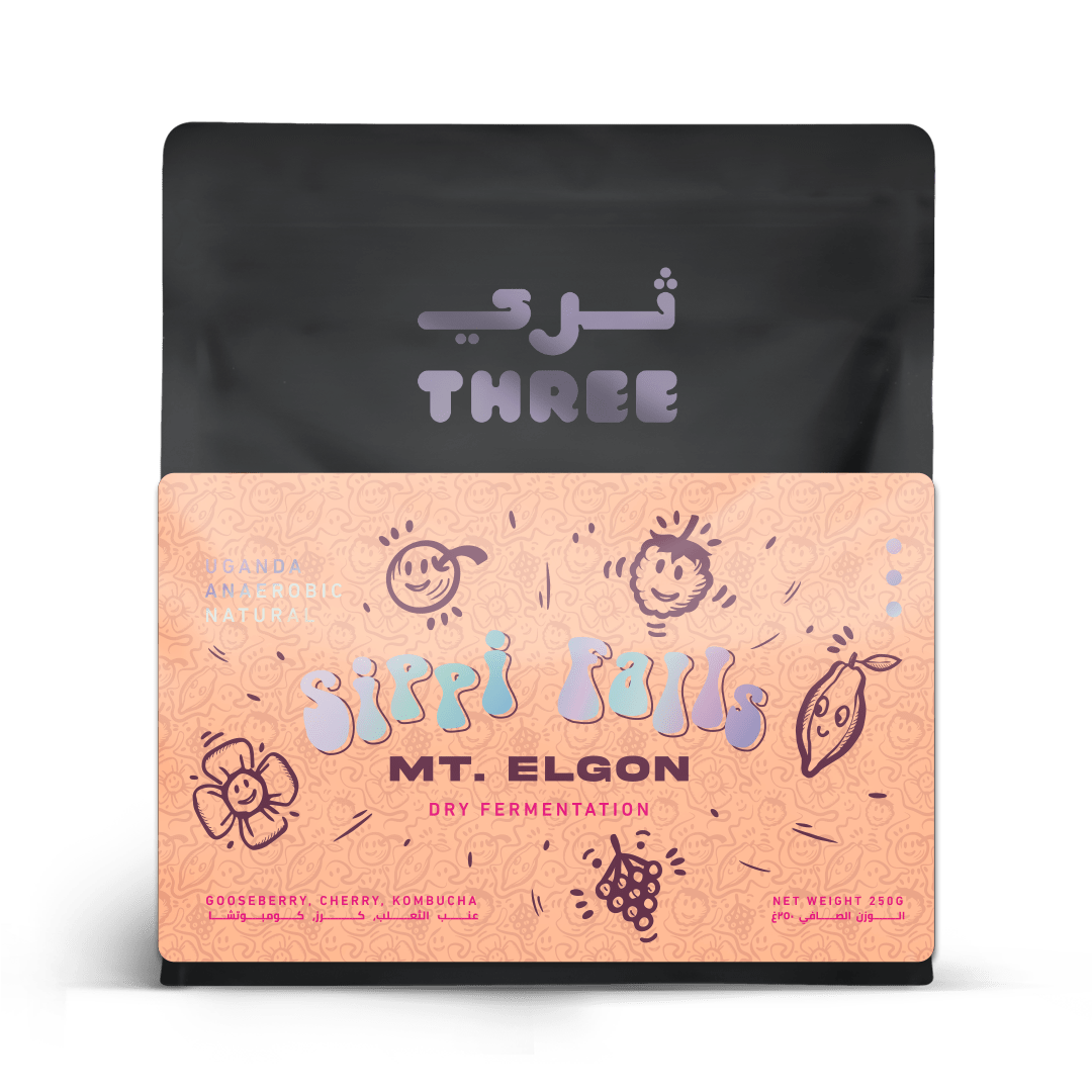 Uganda Dry Ferment Anaerobic Natural - THREE Coffee