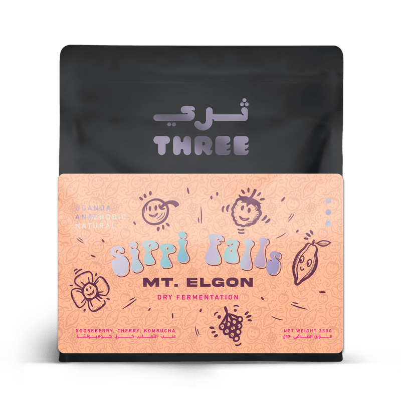 Uganda Dry Ferment Anaerobic Natural - THREE Coffee